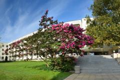 f_Lebed-hotel_1_f_1
