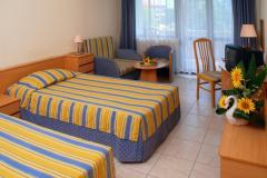 f_Lebed_room_view_f_1